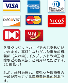 お支払いには、各種クレジットカードがご利用いただけます。(分割払可)